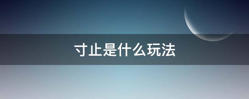 寸止是什么玩法（寸止游戏啥意思）