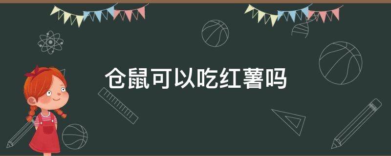 仓鼠可以吃红薯吗（仓鼠可以吃红薯不）
