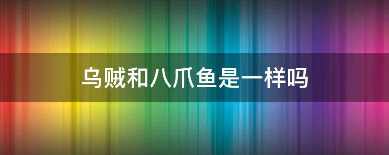乌贼和八爪鱼是一样吗（乌贼和八爪鱼一样吗?）