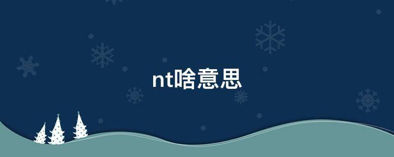 nt啥意思（nt啥意思网络用语）