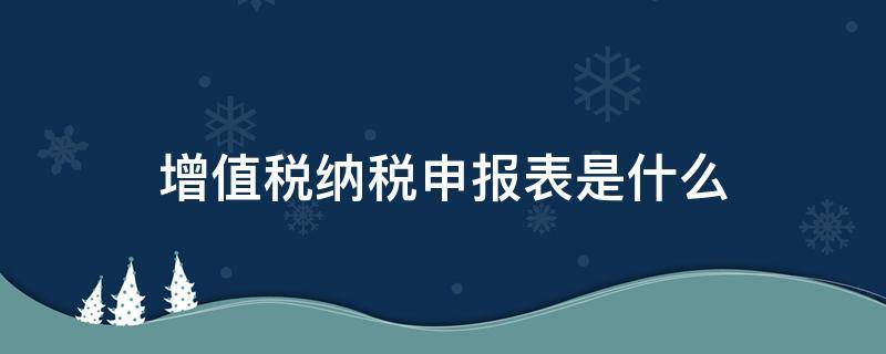 增值税纳税申报表是什么（增值税纳税申报表是什么样子的）