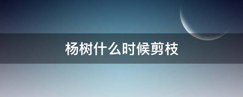 杨树什么时候剪枝（杨树什么时候剪枝视频）