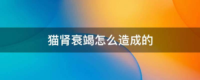 猫肾衰竭怎么造成的 猫肾衰竭是什么原因