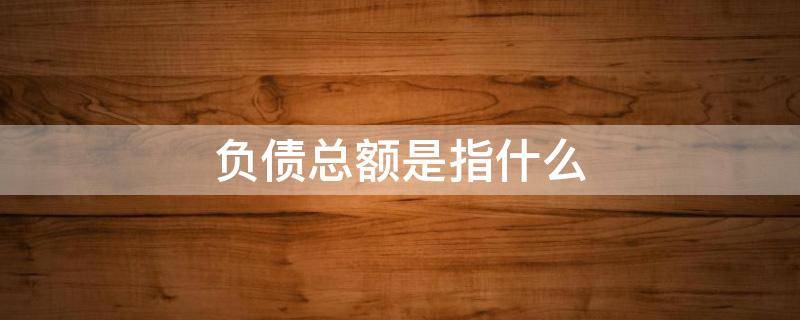 负债总额是指什么（年报负债总额是指什么）