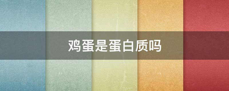 鸡蛋是蛋白质吗 鸡蛋黄是蛋白质吗