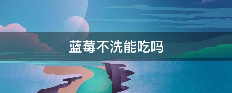 蓝莓不洗能吃吗 蓝莓不洗能直接吃吗