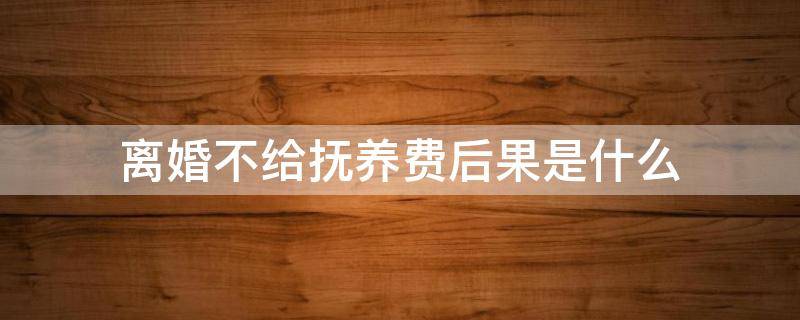 离婚不给抚养费后果是什么（如果离婚了不给抚养费会造成什么结果）