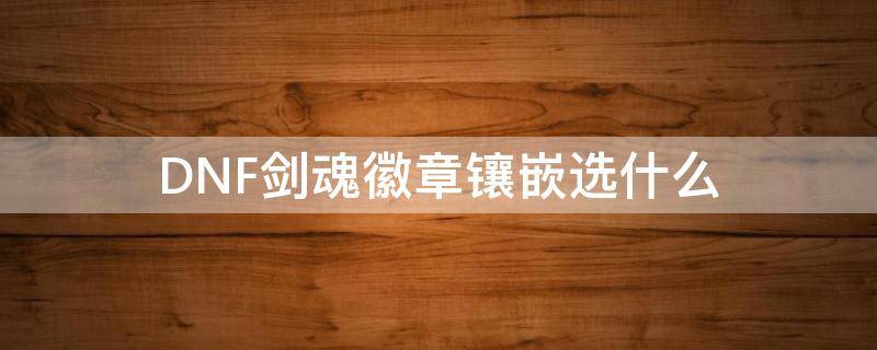 DNF剑魂徽章镶嵌选什么（dnf剑魂首饰打什么徽章）