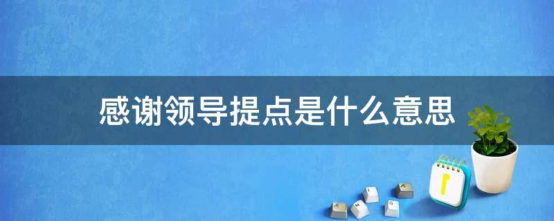 感谢领导提点是什么意思 感谢领导提点怎么表达