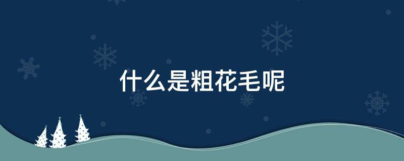 什么是粗花毛呢（粗花呢和毛呢有啥区别）