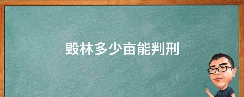 毁林多少亩能判刑 毁林多少亩刑事处罚