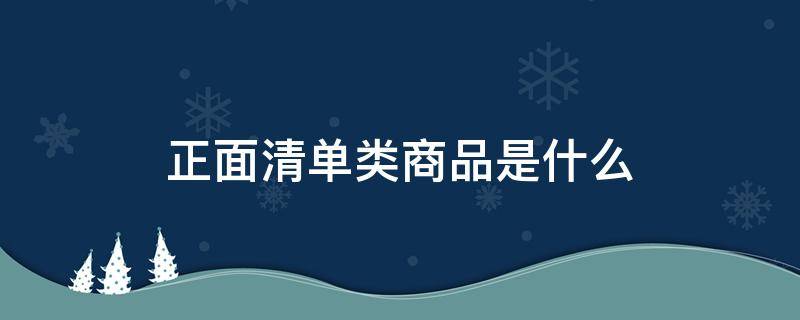 正面清单类商品是什么（商品清单是什么样子）