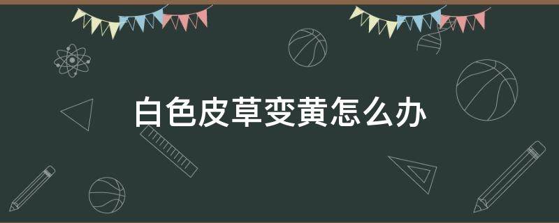 白色皮草变黄怎么办 白色皮草发黄怎么回事