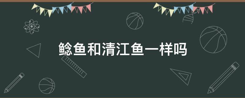 鲶鱼和清江鱼一样吗（鲶鱼和清江鱼有什么区别吗）