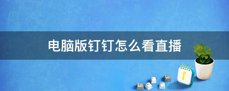 电脑版钉钉怎么看直播 电脑版钉钉怎么看直播时长