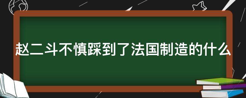 赵二斗不慎踩到了法国制造的什么 赵二斗原型是谁