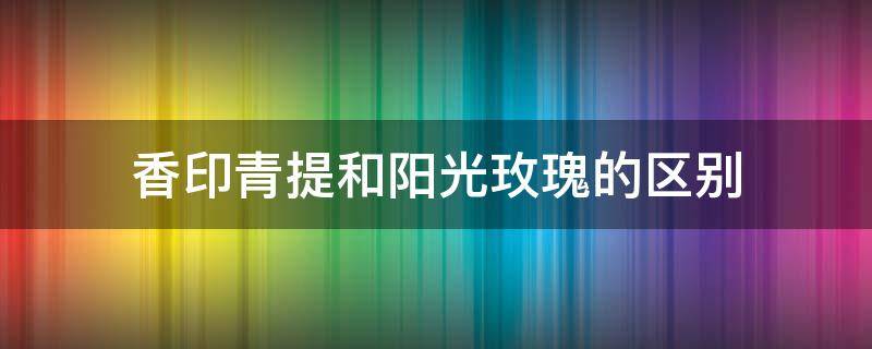 香印青提和阳光玫瑰的区别 玫瑰青提和香印青提是一种么