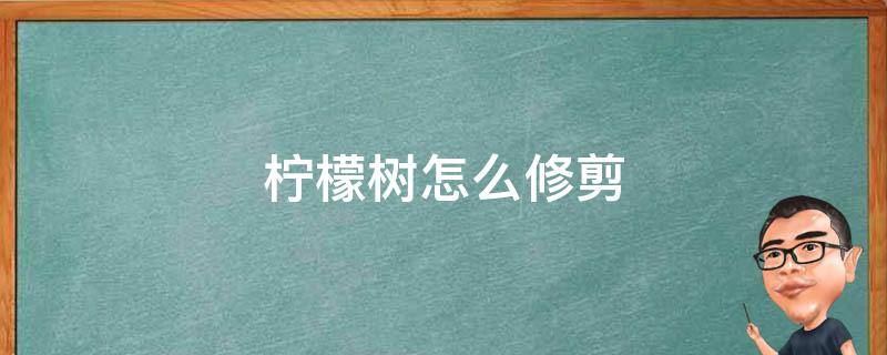 柠檬树怎么修剪（柠檬树怎么修剪才能结果视频）