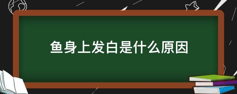 鱼身上发白是什么原因（红鹦鹉鱼身上发白是什么原因）