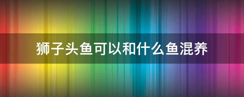 狮子头鱼可以和什么鱼混养 狮子头鱼和什么鱼可以一起养