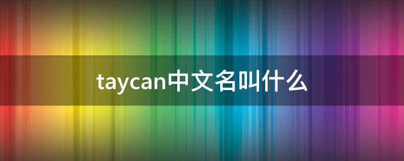 taycan中文名叫什么 taycan中文名叫什么车