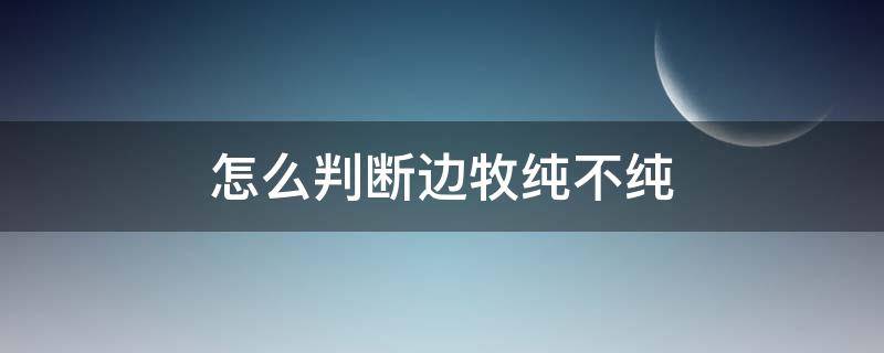 怎么判断边牧纯不纯 怎样分辨边牧纯不纯