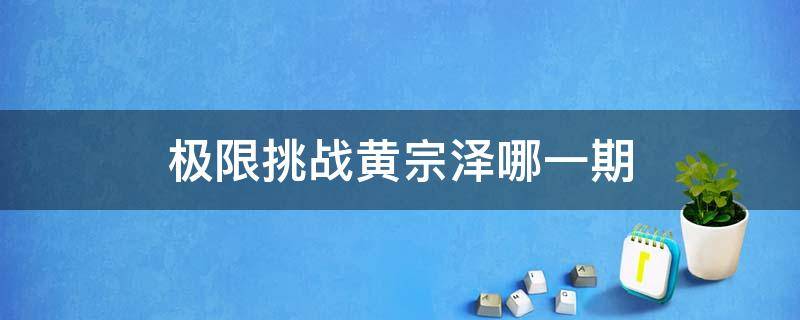 极限挑战黄宗泽哪一期 极限挑战黄宗泽哪一期第几集