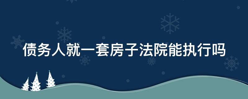 债务人就一套房子法院能执行吗（债务人就一套房子法院能执行吗）