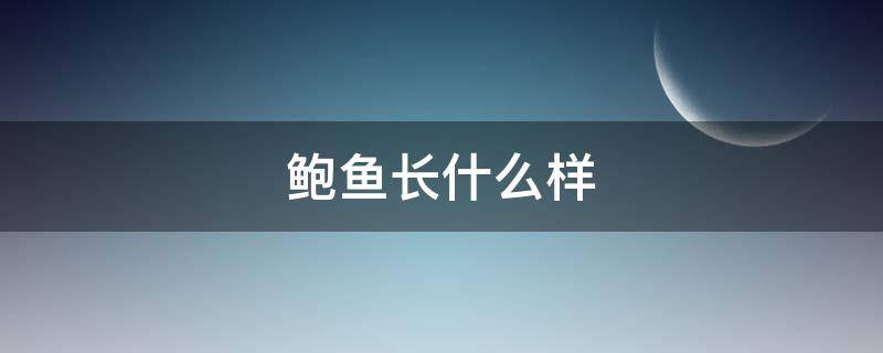 鲍鱼长什么样 鲍鱼长什么样?