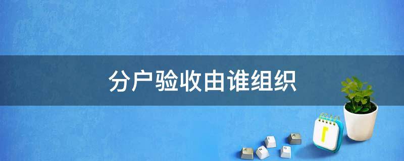 分户验收由谁组织 住宅分户验收由谁组织