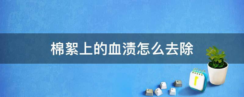 棉絮上的血渍怎么去除（棉絮上有血渍怎样清除）