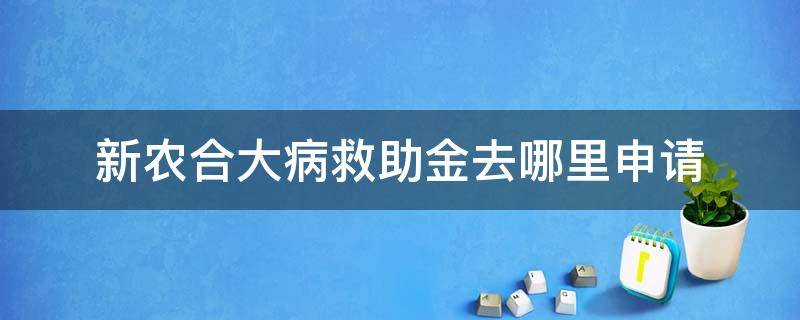 新农合大病救助金去哪里申请（新农合大病救助金去哪里申请意外车祸残疾可以申请吗）