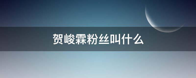 贺峻霖粉丝叫什么 贺峻霖粉丝为什么叫名