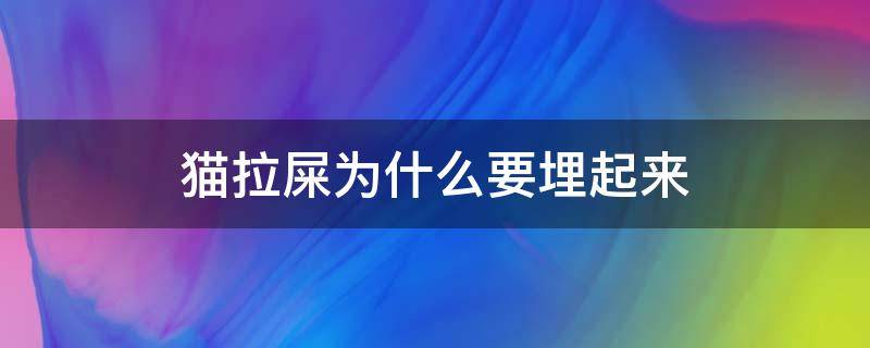 猫拉屎为什么要埋起来（猫拉粑粑为什么要埋起来）