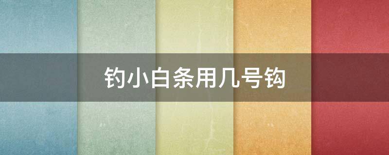 钓小白条用几号钩 钓小白条用几号钩和几号线