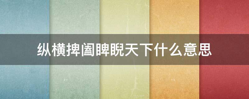 纵横捭阖睥睨天下什么意思 纵横捭阖睥睨天下的意思