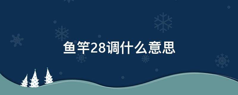 鱼竿28调什么意思 鱼竿28调什么意思5h又是什么