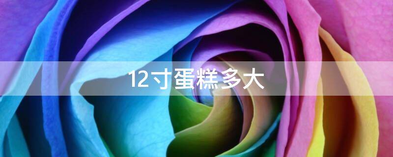 12寸蛋糕多大（12寸蛋糕多大 适合几个人）