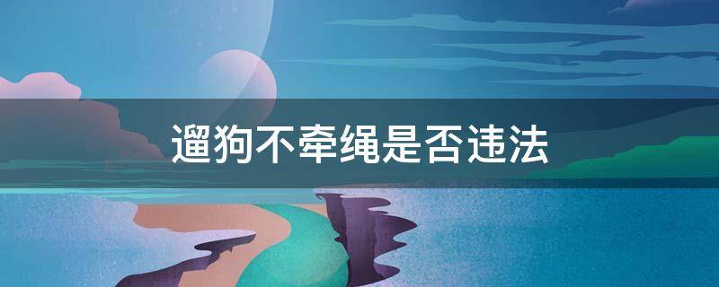 遛狗不牵绳是否违法 遛狗不牵绳是否违法去哪举报