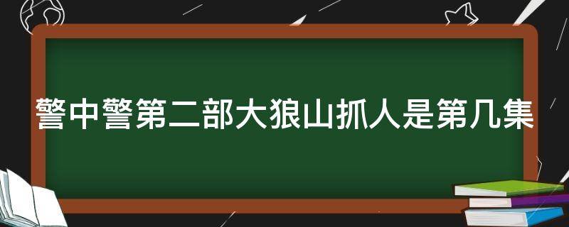 警中警第二部大狼山抓人是第几集 警察到大狼山抓人是多少集