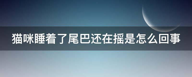 猫咪睡着了尾巴还在摇是怎么回事（猫睡着的时候尾巴动是啥意思）