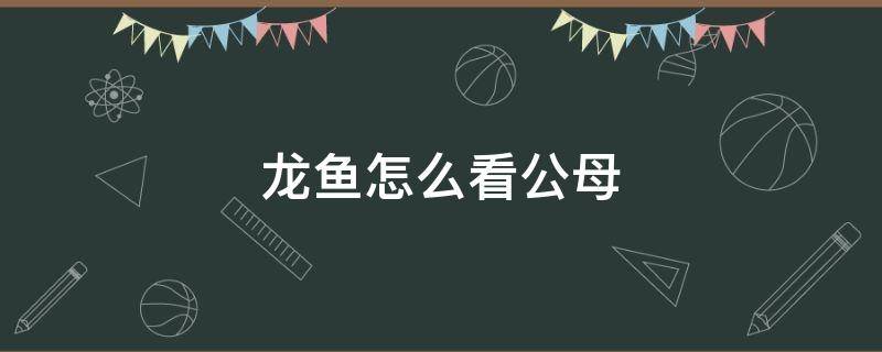 龙鱼怎么看公母 怎样分辨龙鱼公母