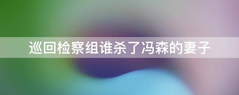 巡回检察组谁杀了冯森的妻子 巡回检察组冯森老婆为什么被杀