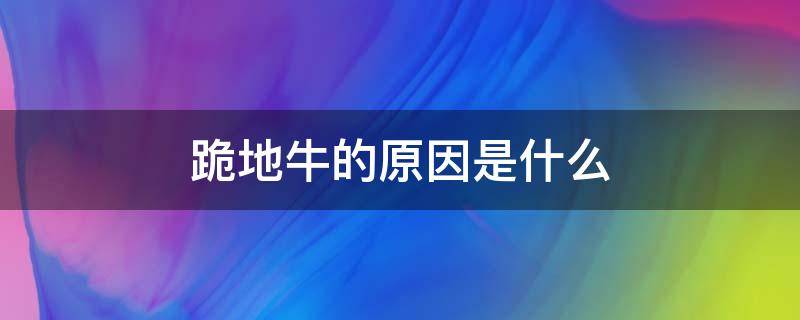 跪地牛的原因是什么 跪地牛是什么意思