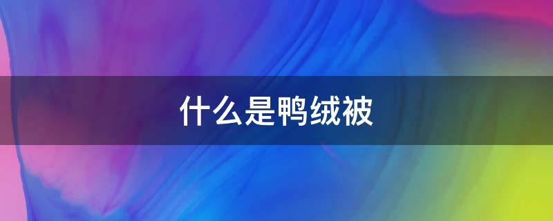 什么是鸭绒被 柔软的鸭绒被