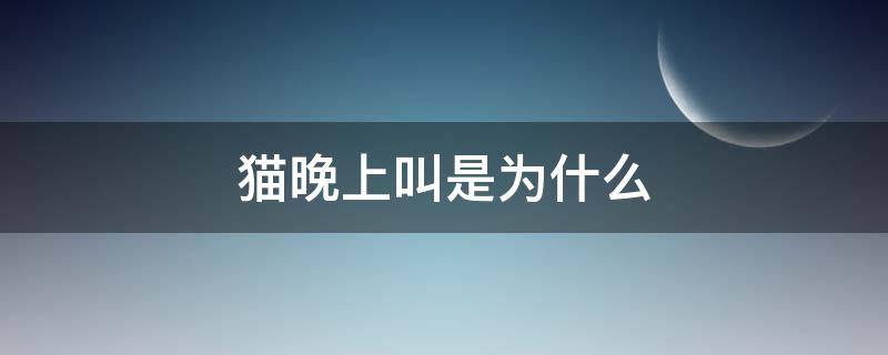 猫晚上叫是为什么 猫晚上叫是为什么挠门