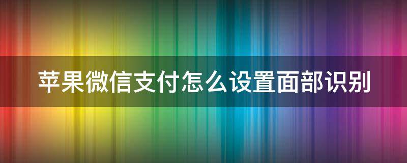 苹果微信支付怎么设置面部识别 苹果微信支付怎么设置面部识别密码