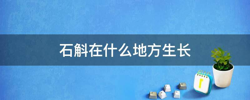 石斛在什么地方生长 野生石斛长什么样子在什么地方生长