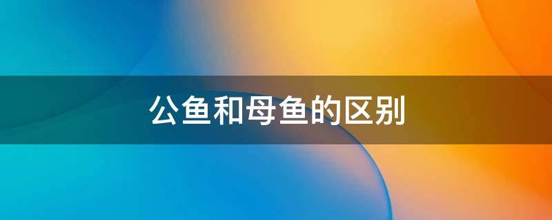 公鱼和母鱼的区别 公鱼和母鱼的区别是什么