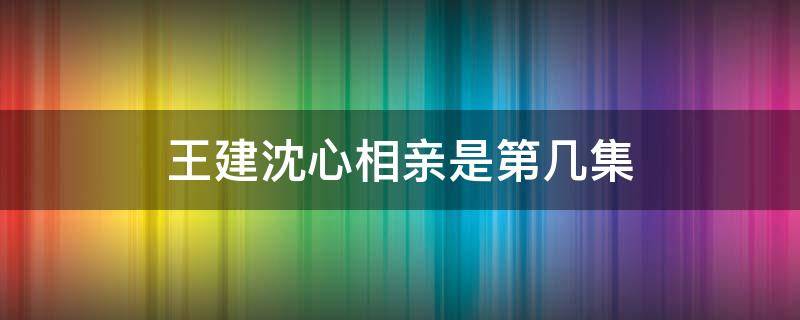 王建沈心相亲是第几集（有沈心王建当交通警察相亲的电视剧）